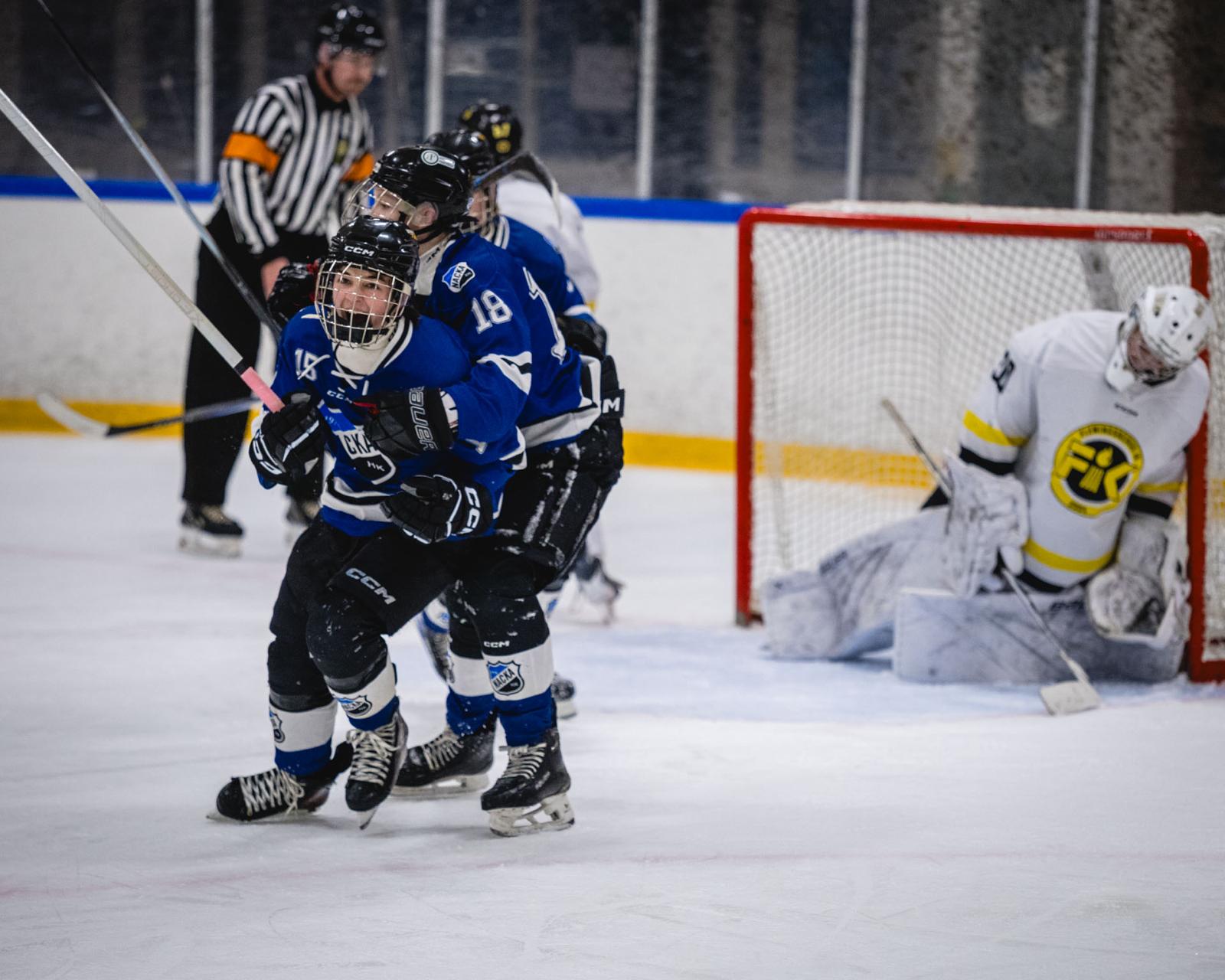 Goal gesture · #15